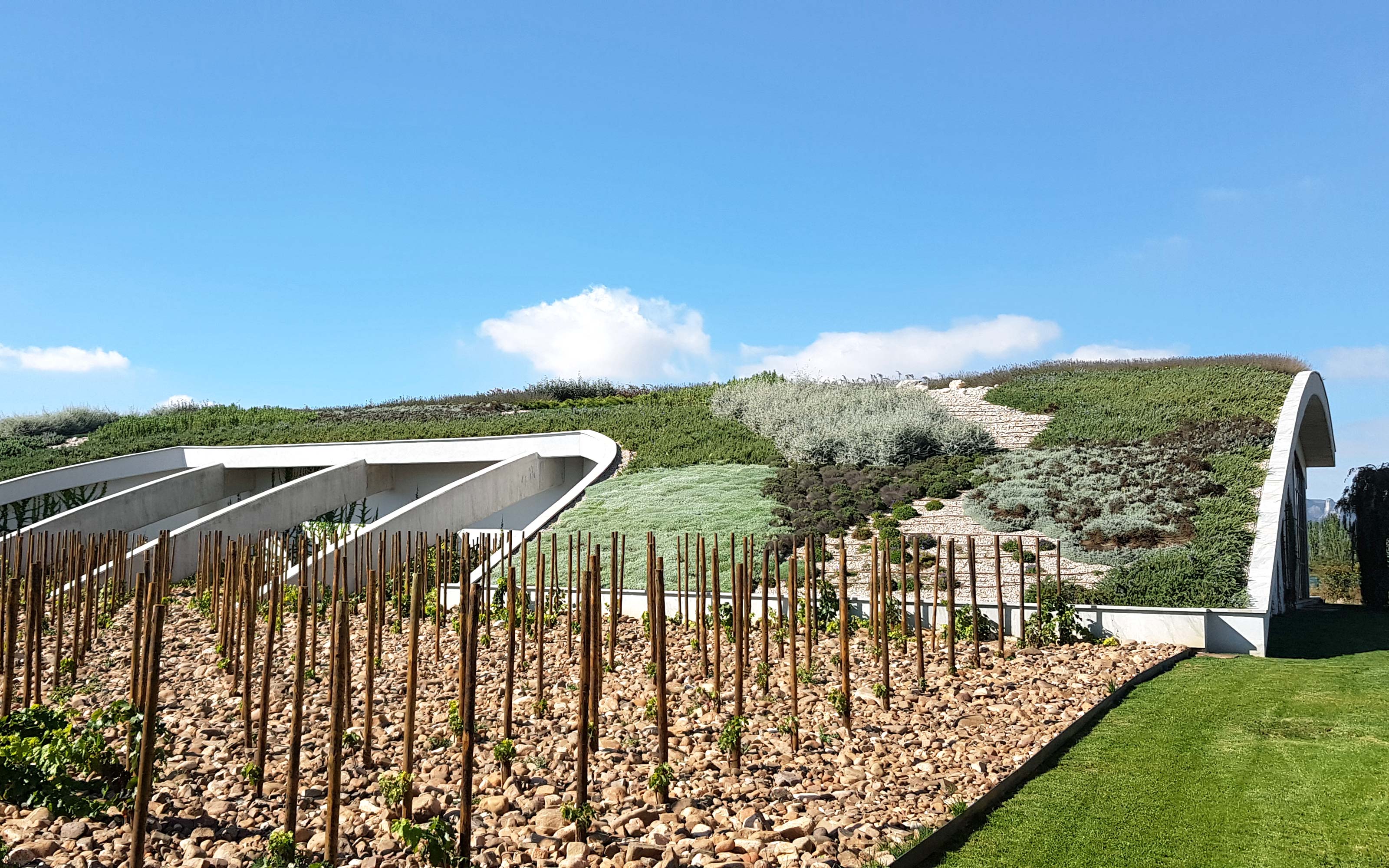 The green roof and the vines in front create an appealing and unique appearance. Vines in front of a pitched green roof